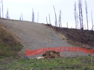Graded and re-contoured slope south side of Beaver, October 2007 
