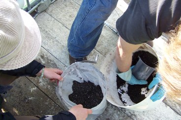 Preparation of compost for tea brewing 