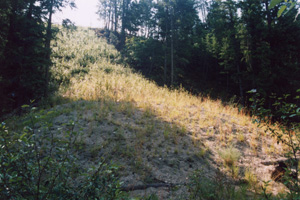 Site August 2004