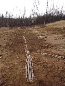 Installed live pole drain system across right of way, October 2004 