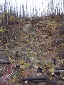 Phase II slope failure adjacent to Beaver Creek crossing, October 2005 