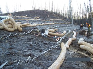 Straw wattle installation north side, October 2007