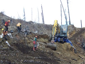Re-contouring and vegetating of temporary access trail, October 2007 