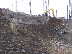 Re-contouring and vegetating of temporary access trail, October 2007 