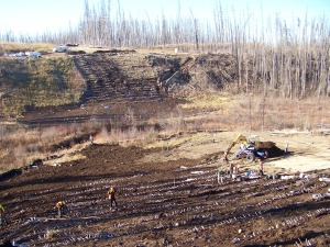Machine-assisted planting north side, October 2007 