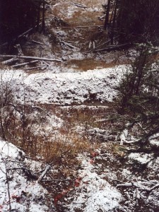 Site before treatment, looking down at berm fall, 2000