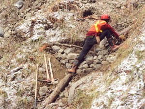 Construction of vegetated sediment trap 