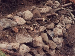 Construction of vegetated sediment trap 