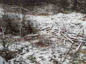 Site before treatment, looking down at berm fall, 2000