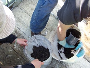 Placement of compost into brewer 