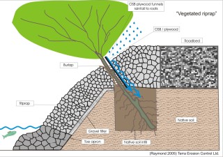 Cross section drawing of vegetated rip rap below road