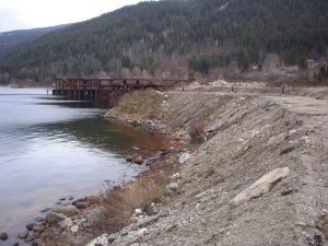 John’s Walk Shoreline before treatment, February 2005 