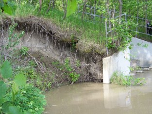 Outfall 101, May 2008