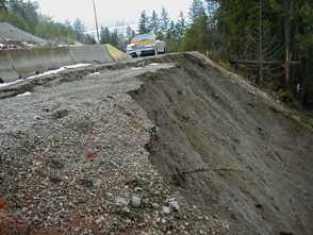 Site before treatments, January 2003