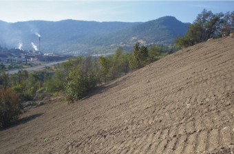 Soil capping in July and November 2004 