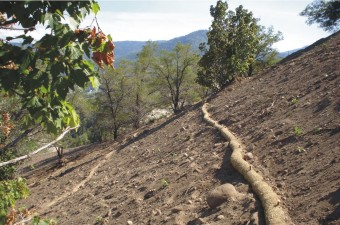 Straw wattles installed to control surface erosion