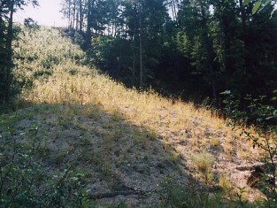 Site in July 2004