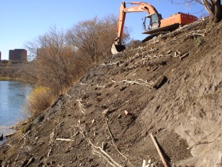 Completed section of brush layers and contour fascines on slope adjacent to riprap 