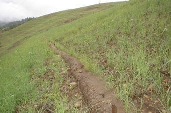 Straw wattles filled in with sediment, summer 2005