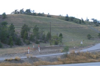 Duncan Hillside, summer 2005