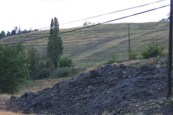 Duncan Hillside, summer 2005