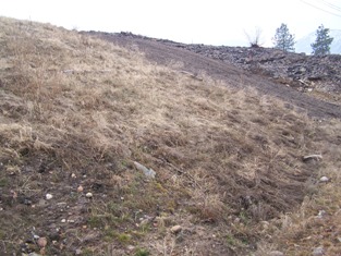 Site in September 2006, Phase III area in foreground, Phase IV area in background (no grass cover here) 