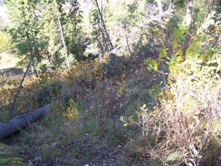 Site in October 2005