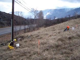 Planting trees and shrubs, September 2006 