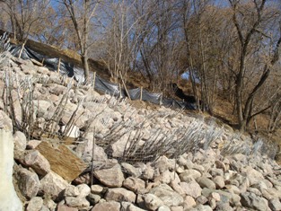 Completed vegetated riprap, October 2007 (Stantec photo) 