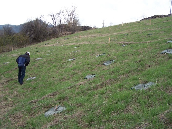 Site spring 2007 
