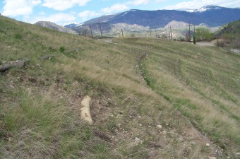 Duncan Hillside, spring 2006 