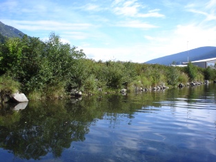 Bank of Cottonwood Creek, 2006