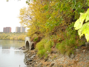 Bank downstream of Outfall 56 before treatment, June 2007 