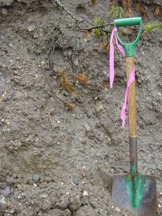 Underground seepage water emerging in upper portion of slope