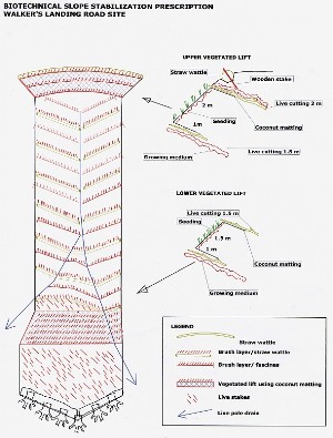 Prescribed treatment drawing