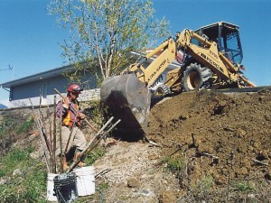 Installation of brush layers, Spring 2003