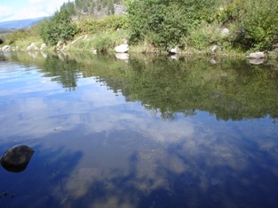 Bank of Cottonwood Creek, 2006