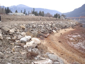 John’s Walk Shoreline before treatment, February 2005