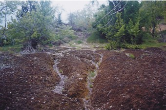 Duncan Hillside before Reclamation, summer 2004 