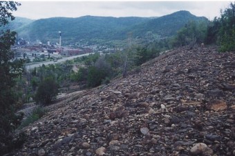 Duncan Hillside before Reclamation, summer 2004 