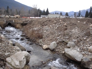 Lower reach of Anderson Creek before treatment, February 2005 