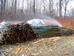 Watering of live material for soil bioengineering structures, October 2008 