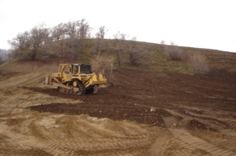 Soil capping in July and November 2004 