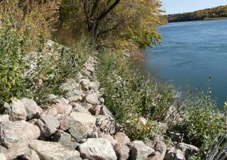 Vegetated rip rap, North Saskatchewan River