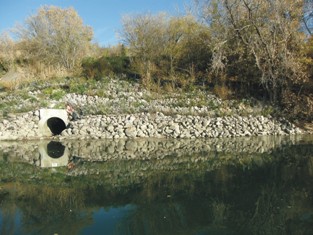 Growth of vegetated riprap