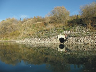 Growth of vegetated riprap