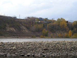 Hillside Units 3 and 4 and riverbank in 2004 (pre-treatment)