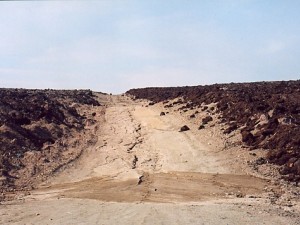 Alpha swale in spring 2004 prior to treatment 