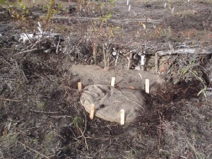 Installed muskeg-filled burlap sacks in eroded channel