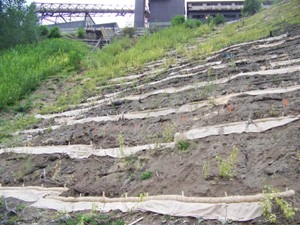 Straw wattles with burlap aprons in Unit 2, September 2008